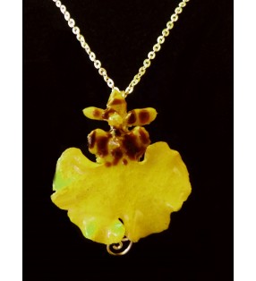 Bijou original doré, fleur orchidée Oncidium, Jaune