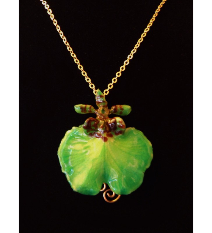 Bijou original doré, fleur orchidée Oncidium, Verte