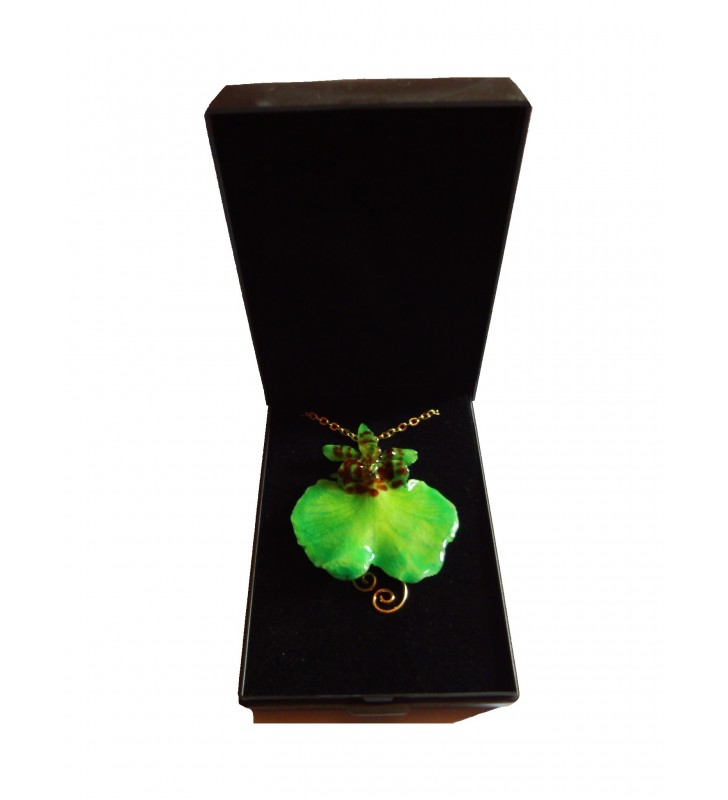 Bijou original doré, orchidée Oncidium, Verte, présenté dans son écrin de velours noir