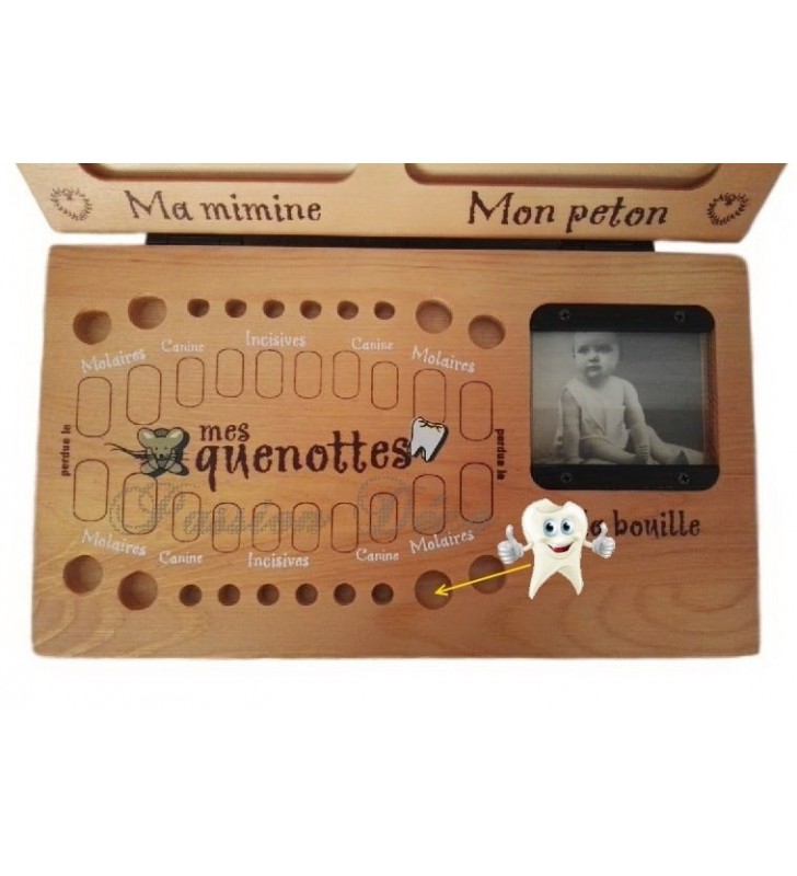 Chaque dent de lait a sa place et sa date à laquelle elle est tombée !