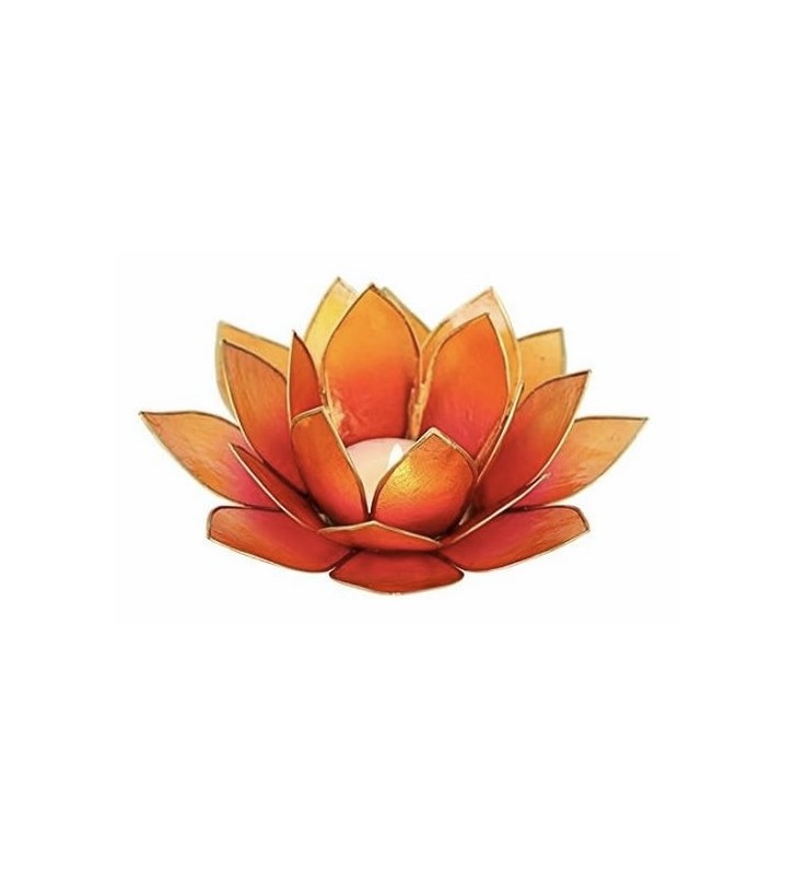 Photophore porte-bougie Fleur de lotus en coquilles de Capiz, couleur ambre